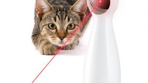 chat-laser-automatique