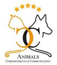 AnimalSCC - Spécialiste de la relation entre les humains, les chiens et les chats
